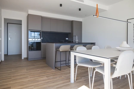 Modern Kitchen and Dining Area