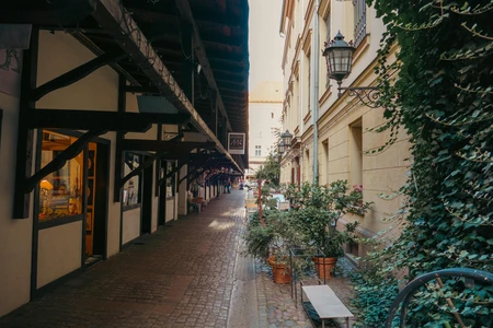 Charming Cobblestone Alley