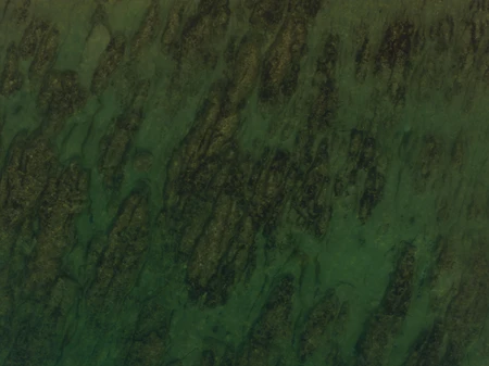 Aerial View of a Green Landscape