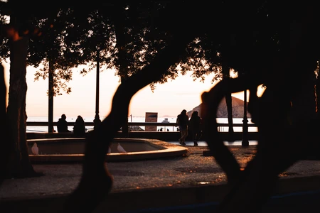 Sunset Stroll by the Ocean