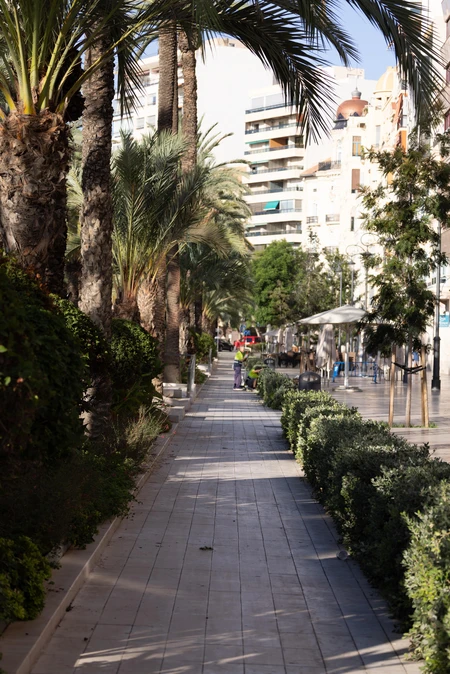 Sunny Urban Promenade