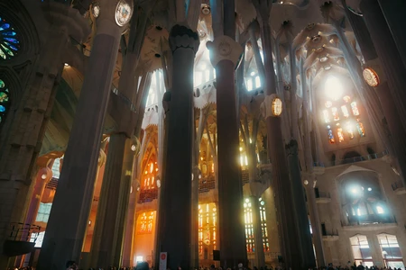 Majestic Cathedral Interior