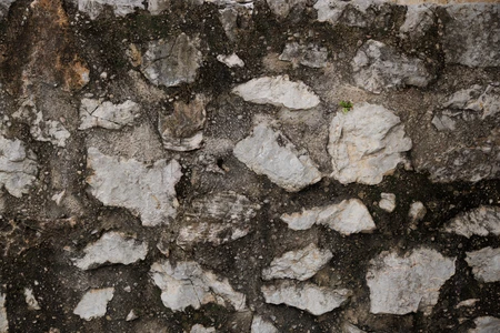 Rugged Stone Wall Texture