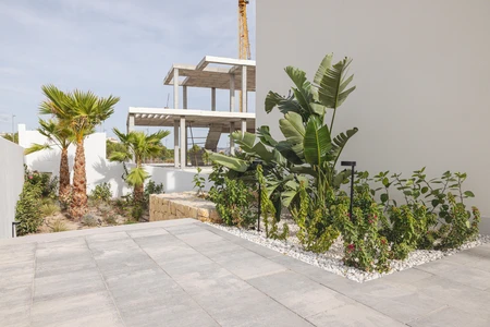 Modern Minimalist Garden