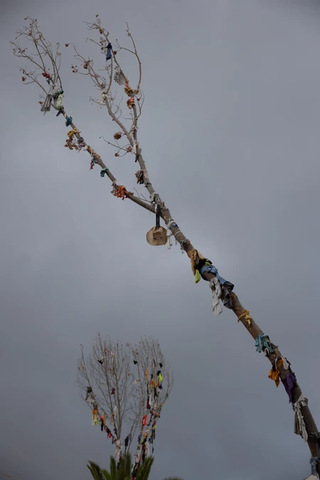 Decorated Trees Against a Moody Sky