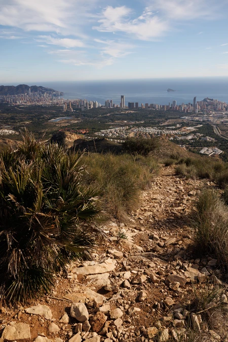 Coastal City View