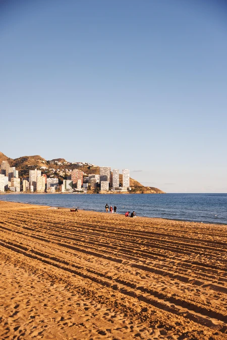 Sunlit Coastal Beachfront