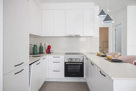 Modern Kitchen Interior