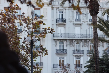 Elegant City Architecture