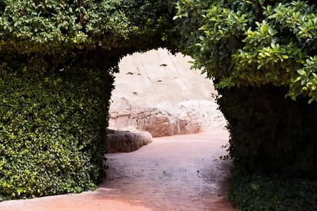 Leafy Archway