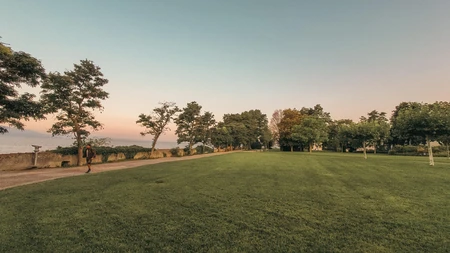 Sunset Park Landscape