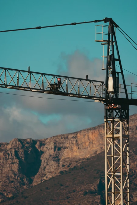 Crane Against Mountain Backdrop