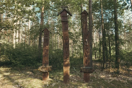 Wooden Totem Poles in a Forest