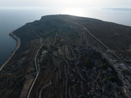 Coastal Cliff Landscape