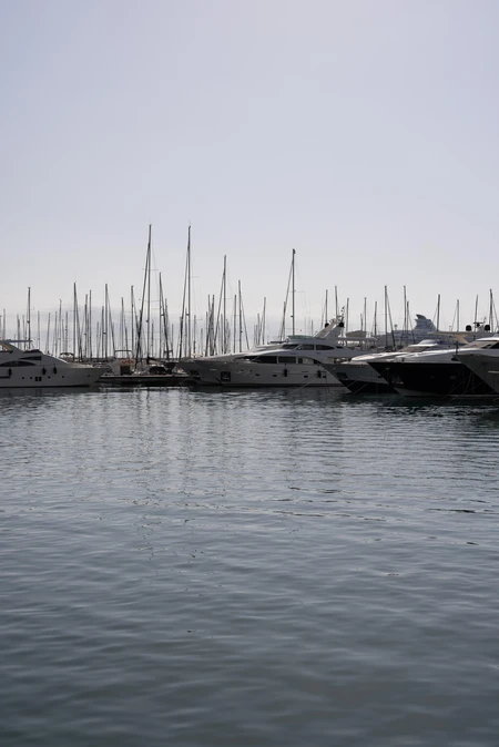 Serene Marina View