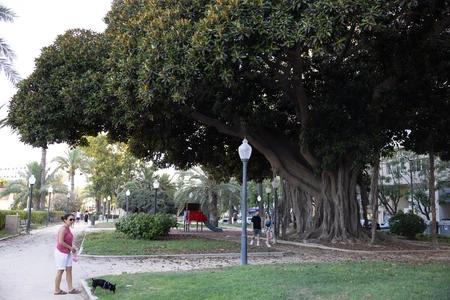Urban Park Scene
