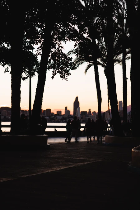 Sunset Cityscape with Silhouettes