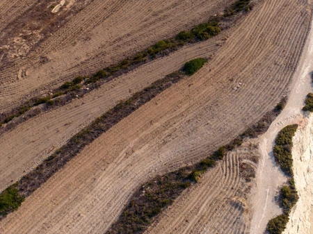 Aerial View of Terraced Fields