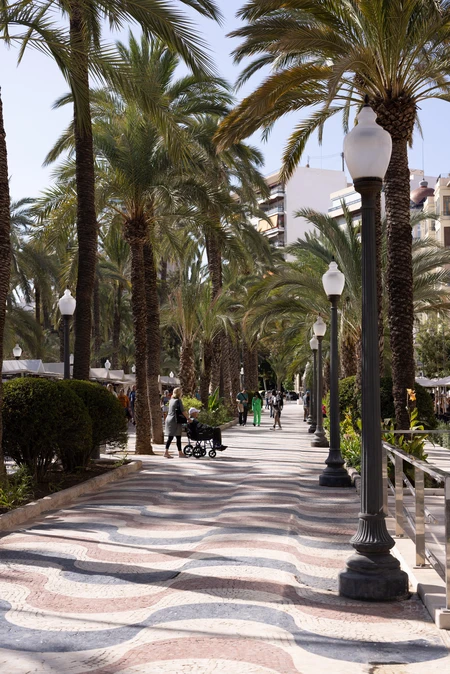 Palm-Lined Promenade