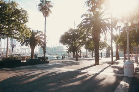 Sunny Urban Promenade