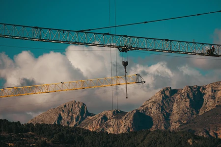 Cranes Over Mountains