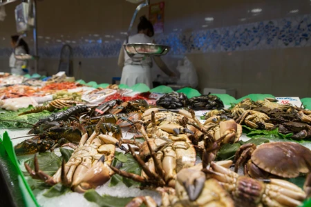 Fresh Seafood Display