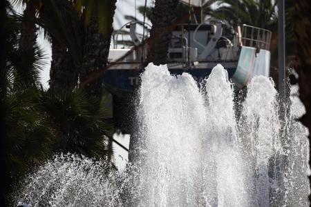 Fountain and Palm Trees