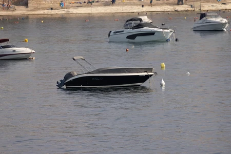 Boats on a Serene Shoreline