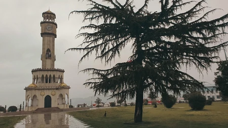 Historic Tower and Tree