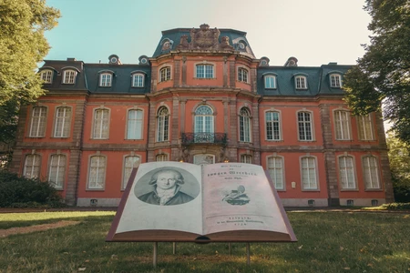 Historic Mansion with Large Book Display
