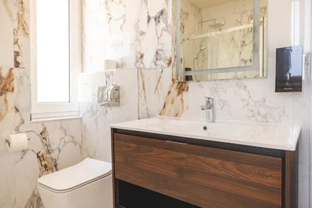 Modern Bathroom Interior