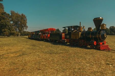 Vintage Train in Countryside