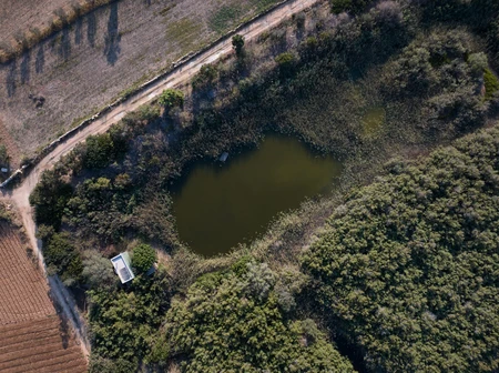 Aerial View of a Natural Pond