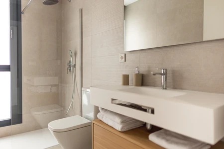 Modern Bathroom Interior