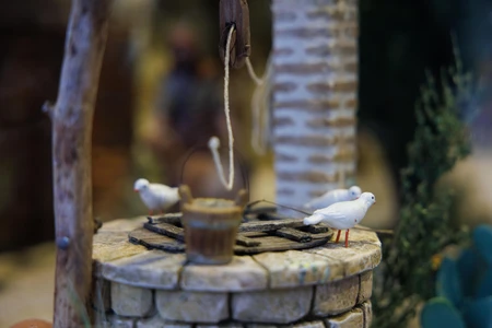 Rustic Well with Doves