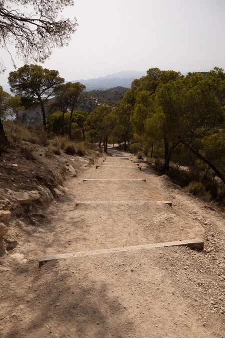 Scenic Mountain Path