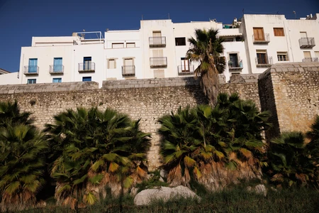 Historic Building with Palm Trees
