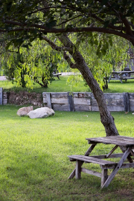 Tranquil Park Scene