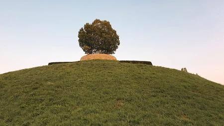 Solitary Tree on Hill