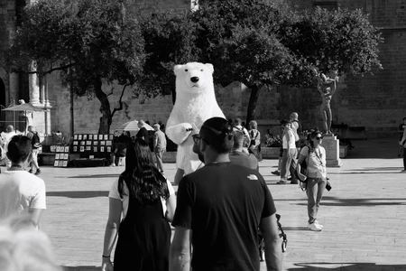 Unusual Street Scene