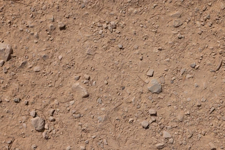 Dry Ground with Pebbles