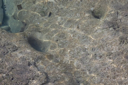 Rocky Shoreline with Clear Water