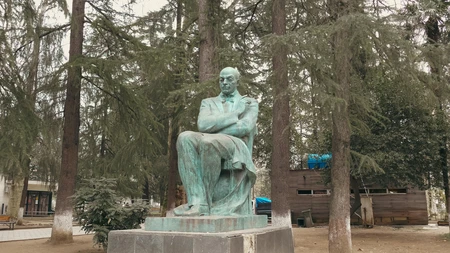 Bronze Statue in Forested Park