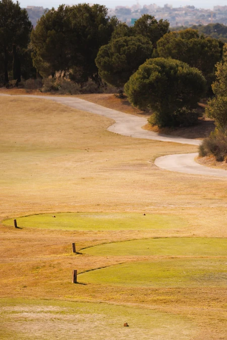 Serene Golf Course Landscape