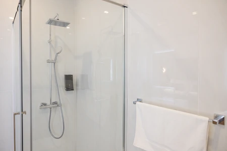 Modern Shower Stall