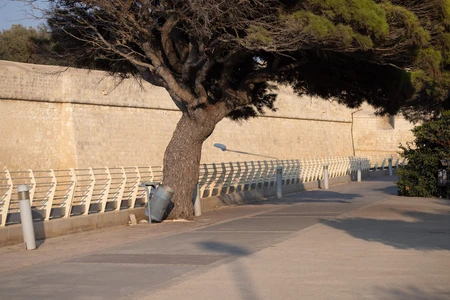 Quiet Urban Pathway