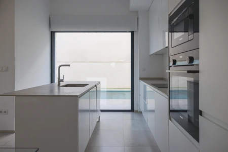 Modern Minimalist Kitchen