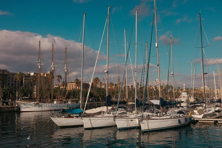 Marina with Sailing Boats