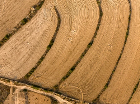 Aerial View of Plowed Fields