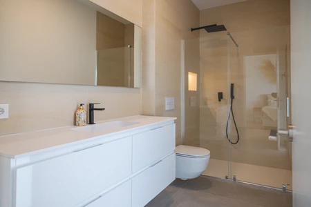 Modern Bathroom Interior